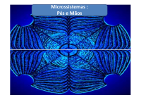 Microsistemas dos pes e maos.pdf